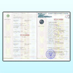 Подробнее о статье Отмена бумажных паспортов транспортных средств с 1 ноября 2020 года