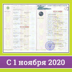 Подробнее о статье Введение новых бланков ПТС с 1 ноября 2020 года